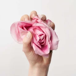 Clearance Reinigung·Cleansing