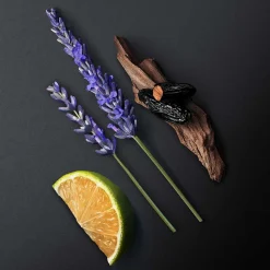 Outlet Herren Düfte·Eau De Toilette Spray