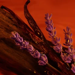 Hot Herren Düfte·Parfum