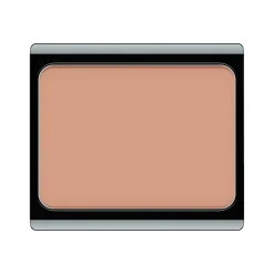 Online Concealer|Make-Up