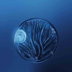 Herren Gesichtspflege·Nachtpflege