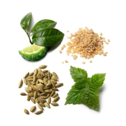 Outlet Herren Düfte·Eau De Parfum Spray