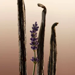 Clearance Damen Duschpflege·Shower Gel