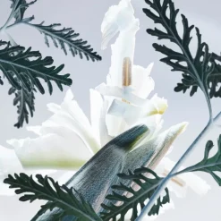 Outlet Herren Düfte·Eau De Parfum Spray