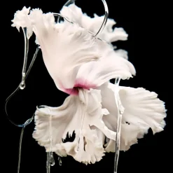 Damen Düfte·Eau De Parfum Spray