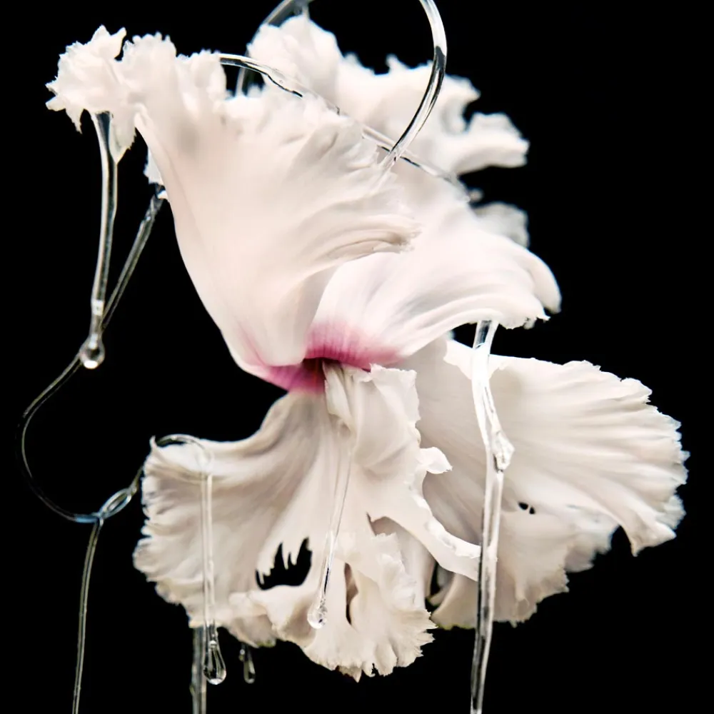 Damen Düfte·Eau De Parfum Spray