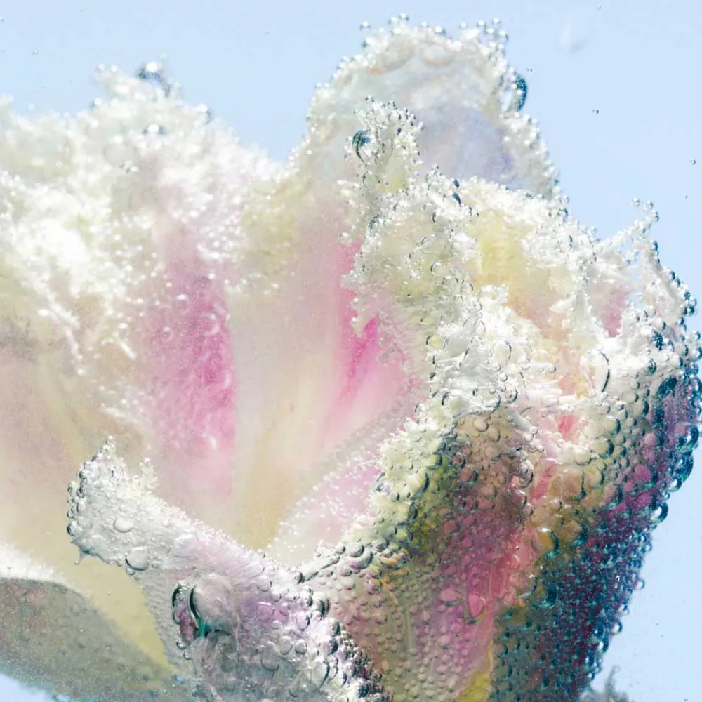 Handpflege·Handreinigung