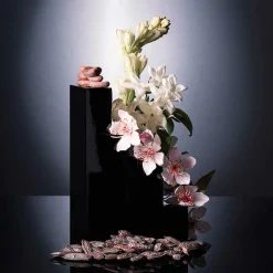 Online Damen Düfte·Eau De Parfum Spray