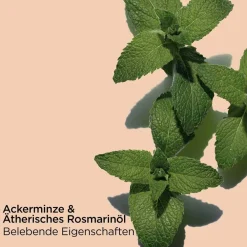 Clearance Pflege·Body Oil