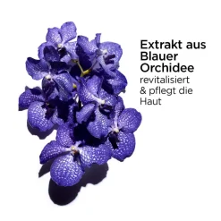 Discount Gesichtpflege·Gesichtsöl