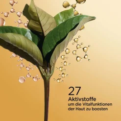 Outlet Serum & Kur ·Serum