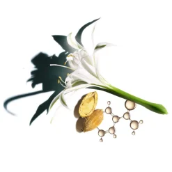 Clearance Anti Aging·Anti-Aging