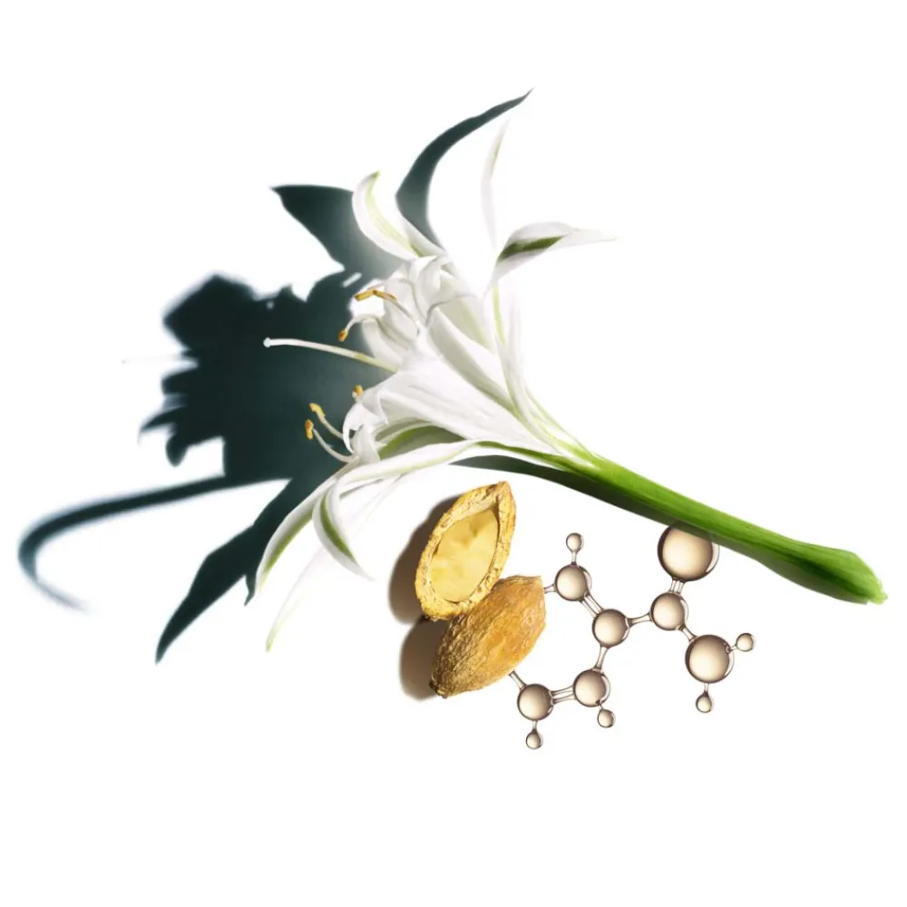 Clearance Anti Aging·Anti-Aging