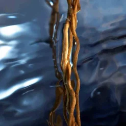 Hot Herren Düfte·Eau De Toilette Spray