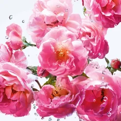 Damen Düfte·Eau De Toilette Spray