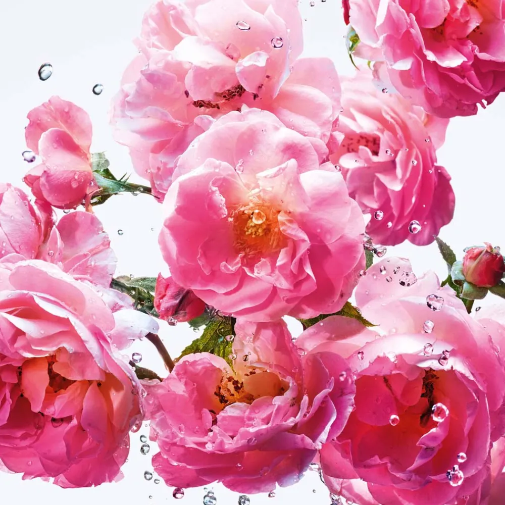 Damen Düfte·Eau De Toilette Spray