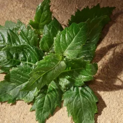 Sale Herren Düfte·Eau De Parfum Spray