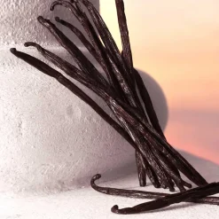 Outlet Damen Düfte·Eau De Parfum Spray