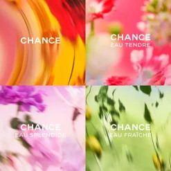 New EAU DE PARFUM ZERSTÄUBER Damen Düfte·Eau De Parfum Spray