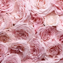 Online Damen Düfte·Eau De Parfum Spray