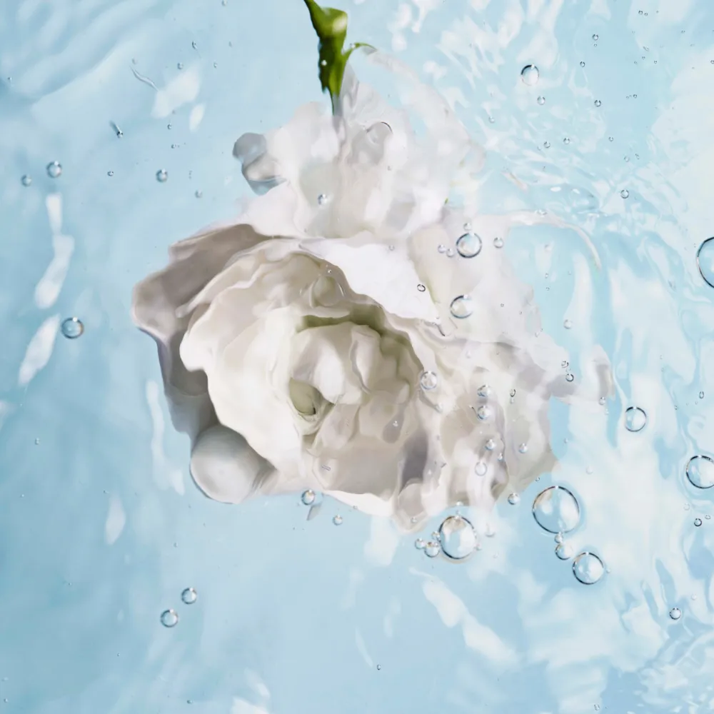 Best FEUCHTIGKEITSSPENDEND AUSGLEICHEND AUFPOLSTERND Serum & Kur ·Serum