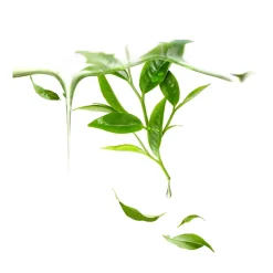 Best Maske·Wirkstoff- & Feuchtigkeitsmaske