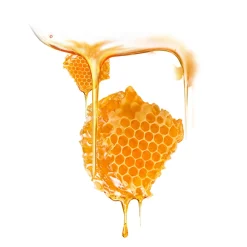 Best Maske·Anti-Aging Maske