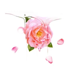 Maske·Wirkstoff- & Feuchtigkeitsmaske