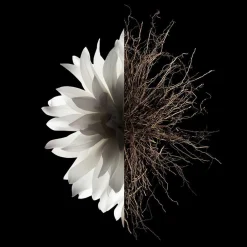 Clearance Damen Düfte·Eau De Parfum Spray