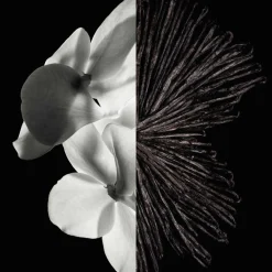 Discount Herren Düfte·Eau De Parfum Spray