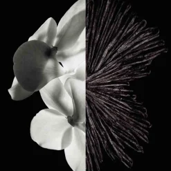 Online Herren Düfte·Eau De Parfum Spray