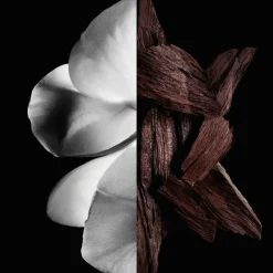 Discount Herren Düfte·Eau De Parfum Spray