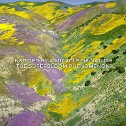 Clearance Damen Düfte·Eau De Toilette Spray