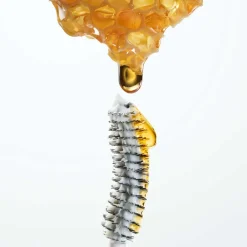 Clearance Mascara·Mascara Primer