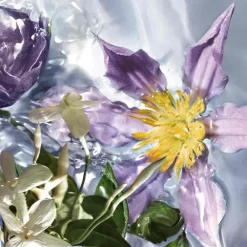 Discount Damen Düfte·Eau De Toilette Spray