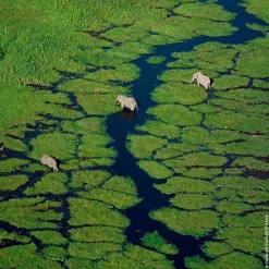 Discount Damen Düfte·Eau De Toilette Spray