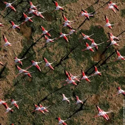 New Damen Düfte·Eau De Toilette Spray