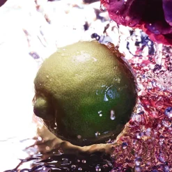 Online Damen Düfte·Eau De Toilette Spray