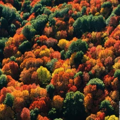 Outlet Damen Düfte·Eau De Parfum Spray