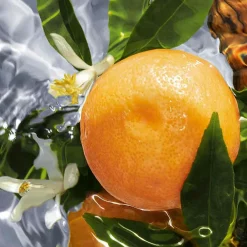 Best Damen Düfte·Eau De Toilette Spray