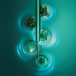 Outlet Anti Aging·Anti-Aging