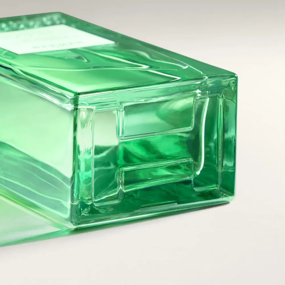 Best Damen Duschpflege·Hair & Shower