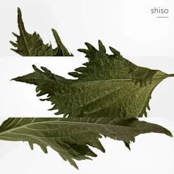 Herren Düfte·Parfum Spray