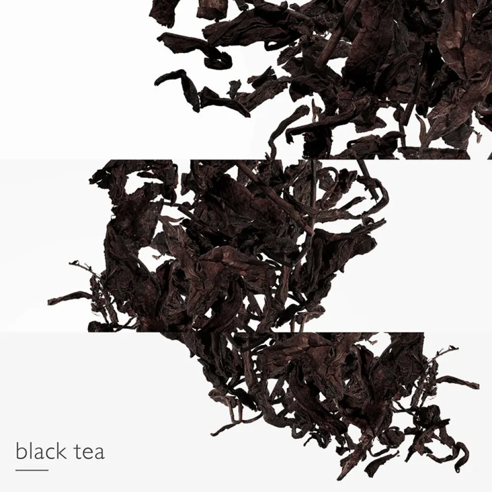 Online Damen Düfte·Eau De Parfum Spray