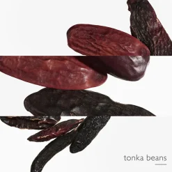 Online Damen Düfte·Eau De Parfum Spray