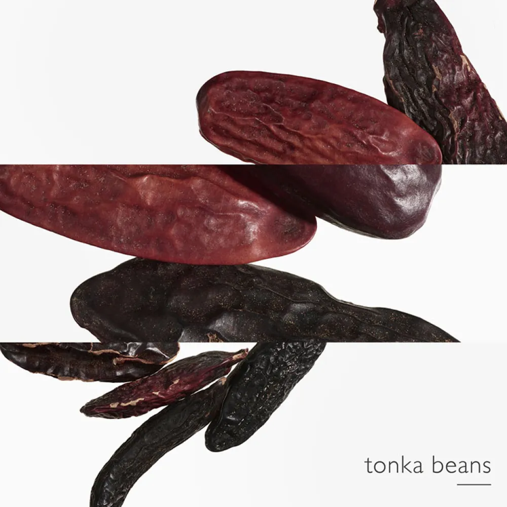 Online Damen Düfte·Eau De Parfum Spray