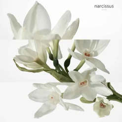 New Herren Düfte·Eau De Toilette Spray