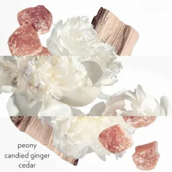 Clearance Damen Düfte·Eau De Parfum Spray