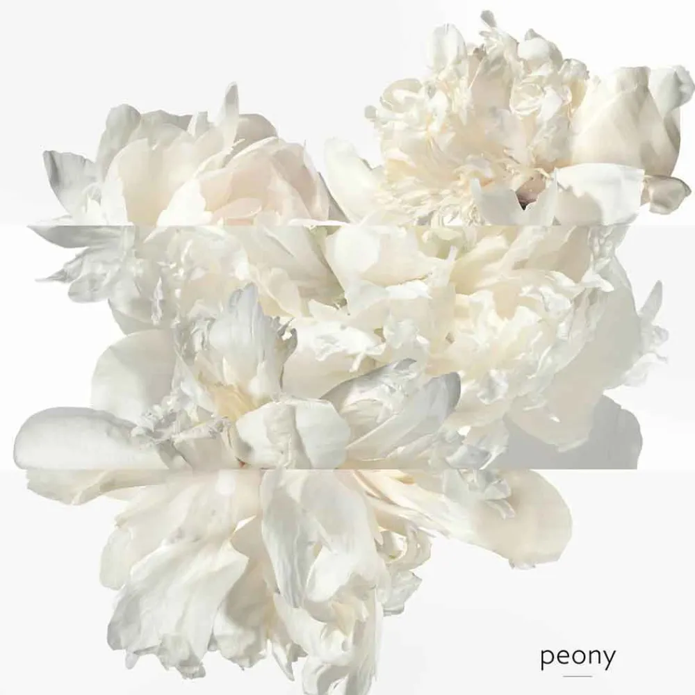 Clearance Damen Düfte·Eau De Parfum Spray