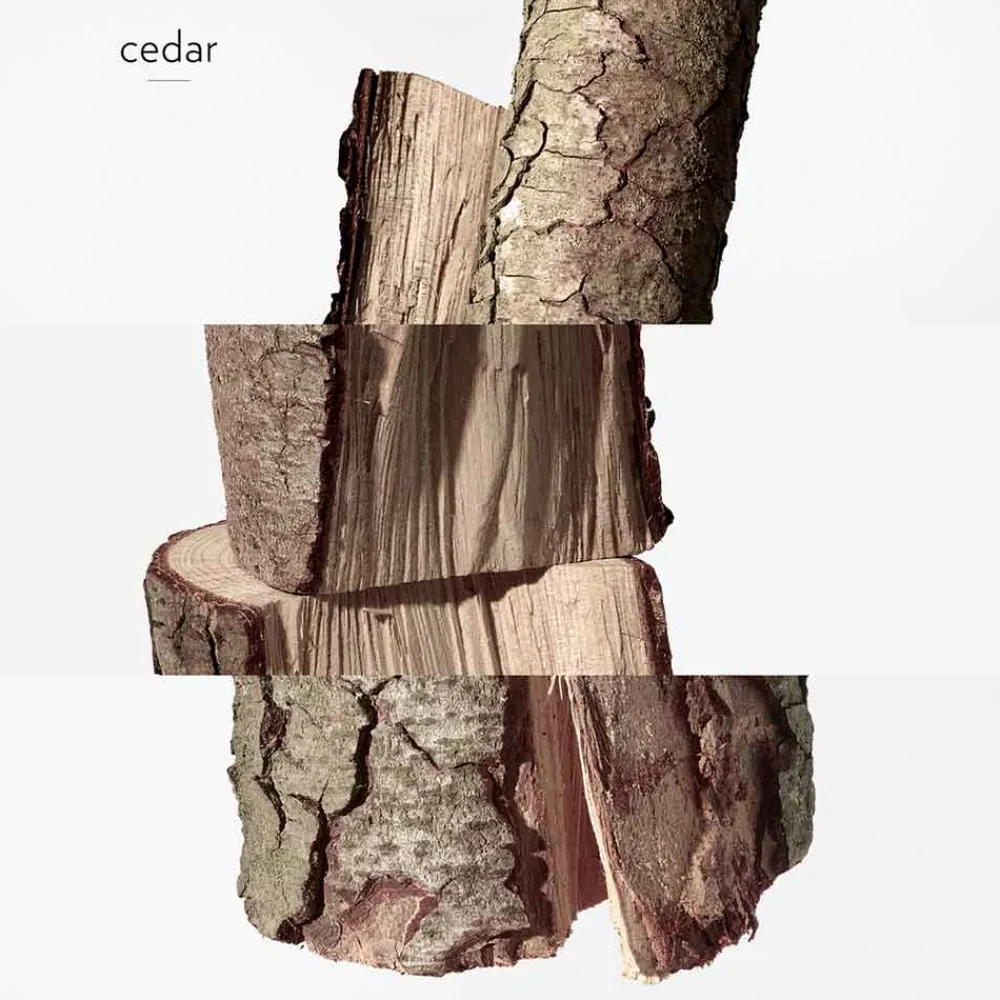 Clearance Damen Düfte·Eau De Parfum Spray